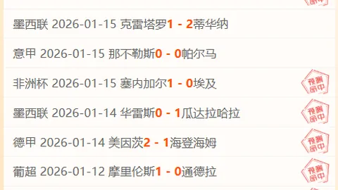 拜仁2人、勒沃库森6人累积黄牌：萨内、格纳布里等领衔黄牌军团