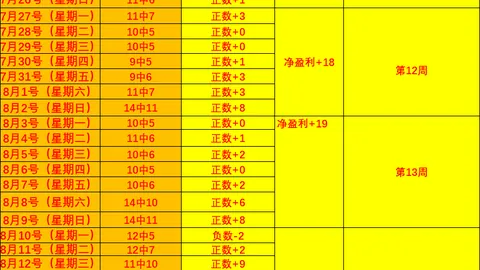 2026友谊赛精彩回放：加济安泰普对哈林对决解析